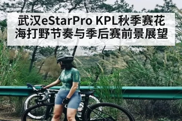 武汉eStarPro KPL秋季赛花海打野节奏与季后赛前景展望